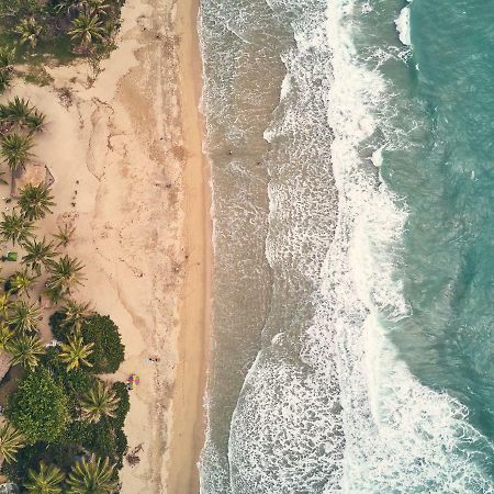 Playa Los Angeles ロス・ナランホス エクステリア 写真