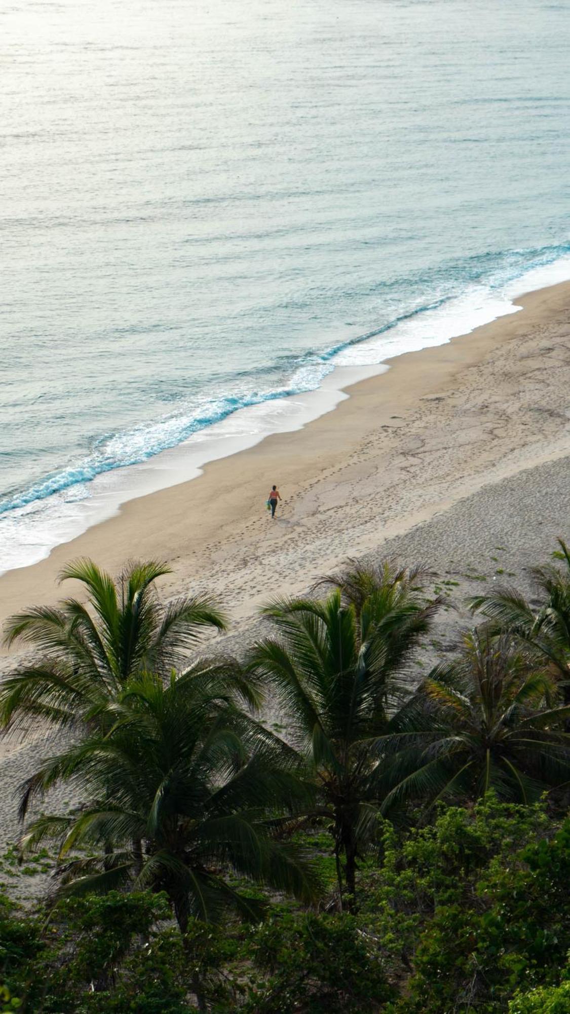 Playa Los Angeles ロス・ナランホス エクステリア 写真