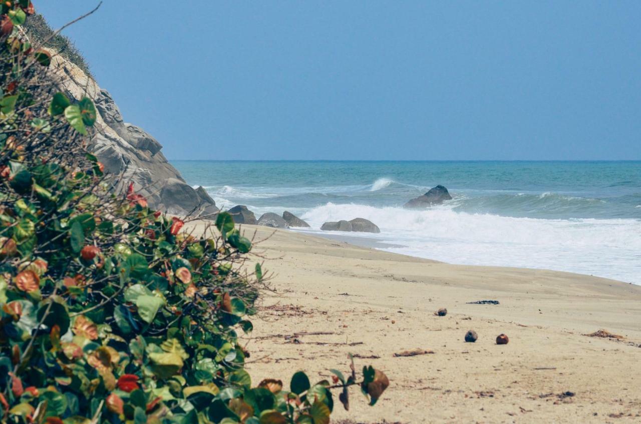 Playa Los Angeles ロス・ナランホス エクステリア 写真