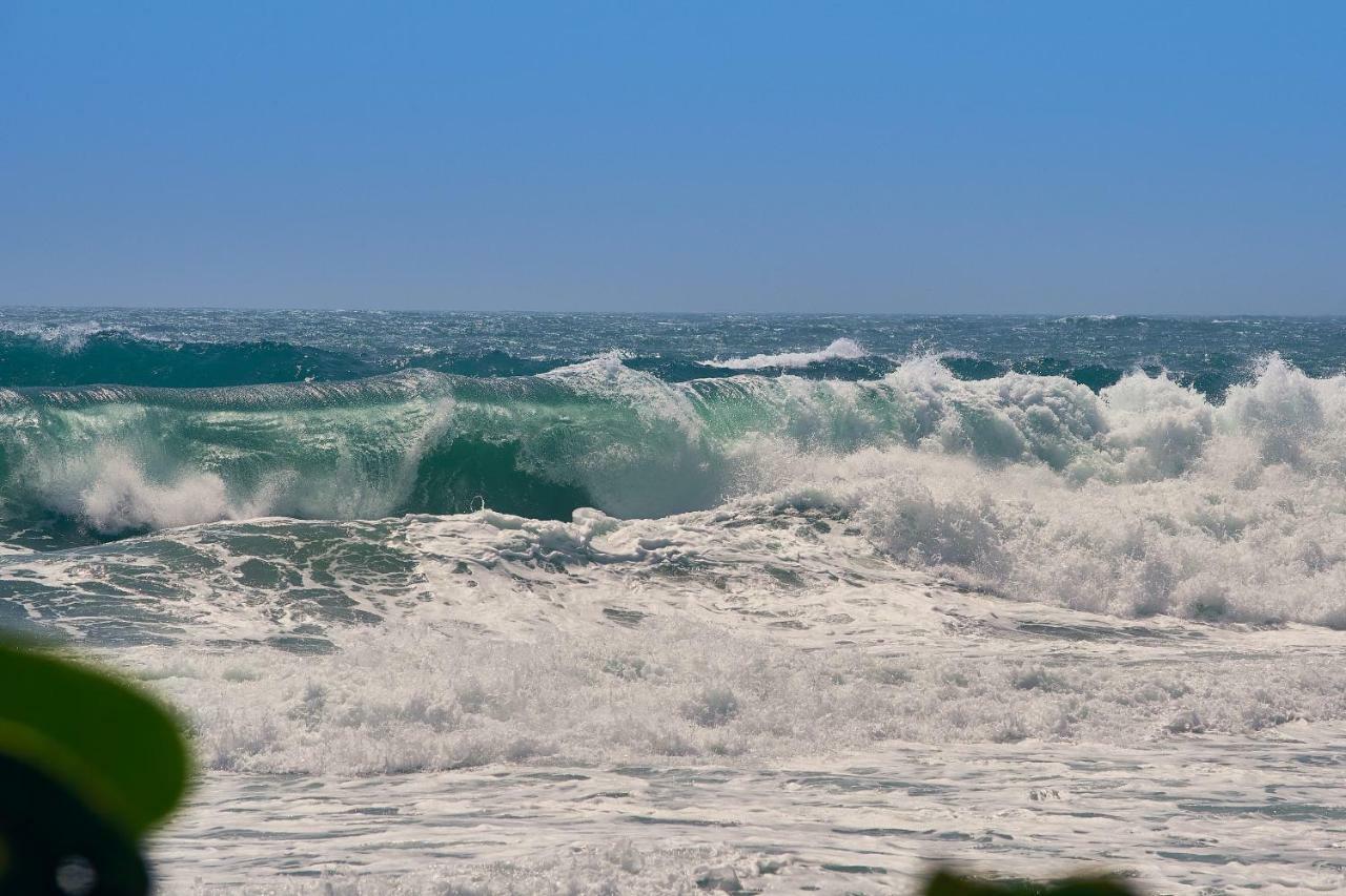 Playa Los Angeles ロス・ナランホス エクステリア 写真